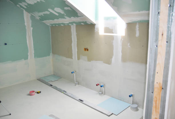 Best Drywall Texturing  in Carroll, IA